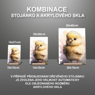 Akrylové sklo Akvarelové kura