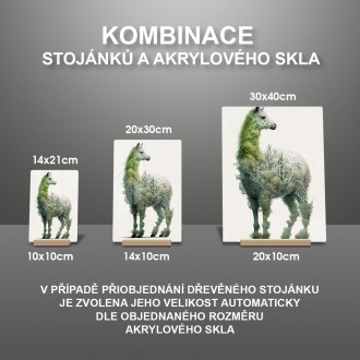 Akrylové sklo Prírodná lama