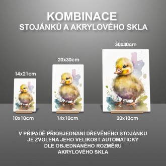 Akrylové sklo Akvarelová kačica