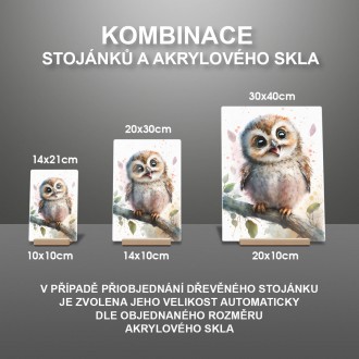 Akrylové sklo Akvarelová sova