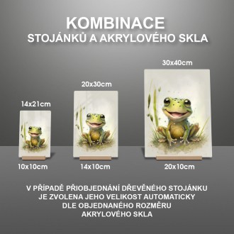 Akrylové sklo Akvarelová žaba