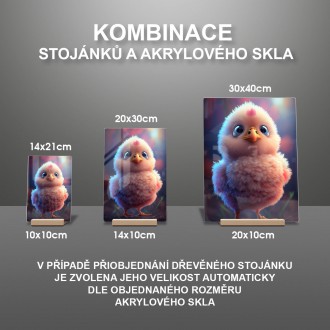 Akrylové sklo Roztomilé kura
