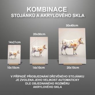 Akrylové sklo Kvetinová krava