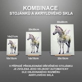 Akrylové sklo Kvetinová zebra