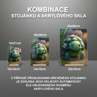 Akrylové sklo Animovaná korytnačka