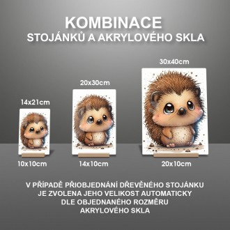 Akrylové sklo Malý ježko