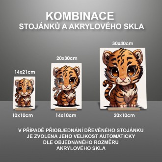 Akrylové sklo Malý tiger