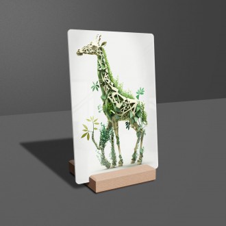 Akrylové sklo Prírodná žirafa