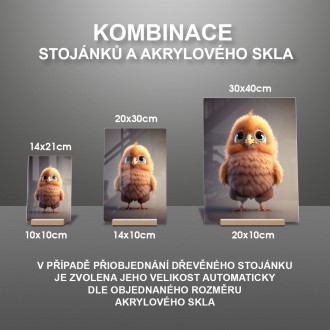 Akrylové sklo Animované kura