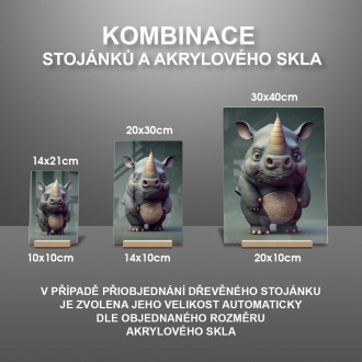 Akrylové sklo Animovaný nosorožec