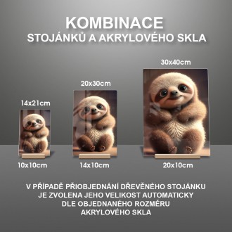 Akrylové sklo Animovaný leňochod