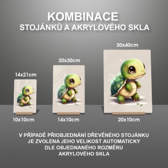 Akrylové sklo Malá korytnačka