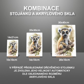 Akrylové sklo Akvarelový lemur