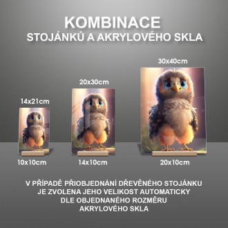 Akrylové sklo Roztomilý orol