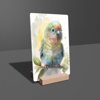 Akrylové sklo Akvarelový papagáj