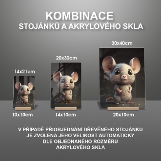 Akrylové sklo Roztomilá myška