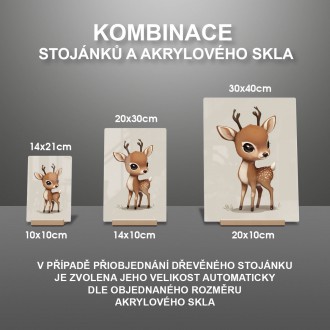 Akrylové sklo Malý kolouch