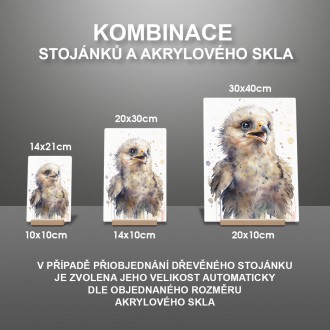 Akrylové sklo Akvarelový orol