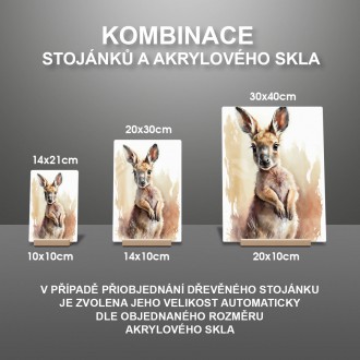 Akrylové sklo Akvarelový klokan