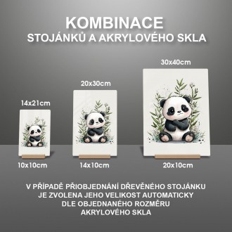 Akrylové sklo Malá panda
