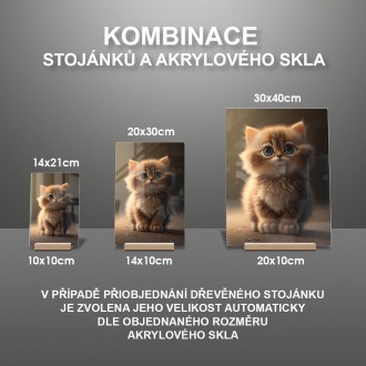 Akrylové sklo Roztomilá mačička