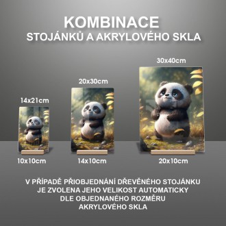 Akrylové sklo Roztomilé panda