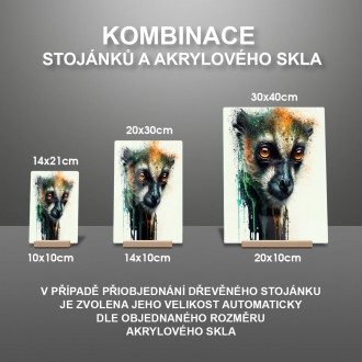 Akrylové sklo Graffiti lemur