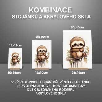 Akrylové sklo Malý lemur