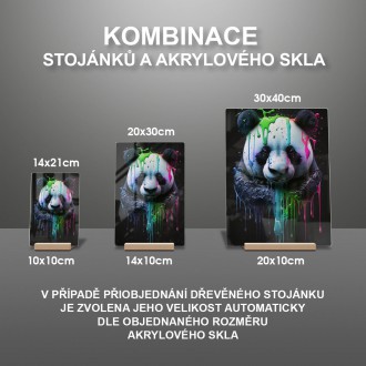 Akrylové sklo Graffiti panda