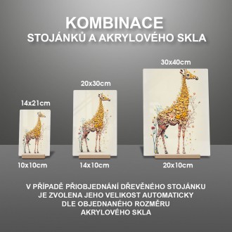 Akrylové sklo Kvetinové žirafa