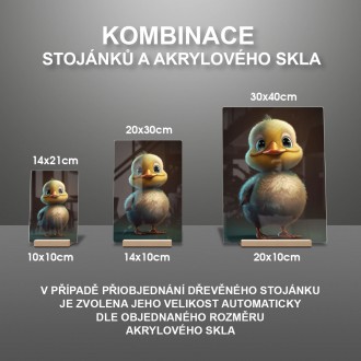 Akrylové sklo Roztomilá kačička