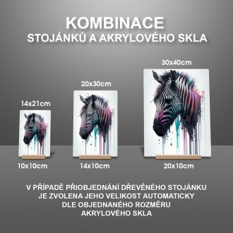 Akrylové sklo Graffiti zebra