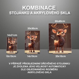 Akrylové sklo Animovaný koloušok