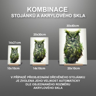 Akrylové sklo Prírodná sova