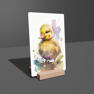 Akrylové sklo Akvarelová kačica