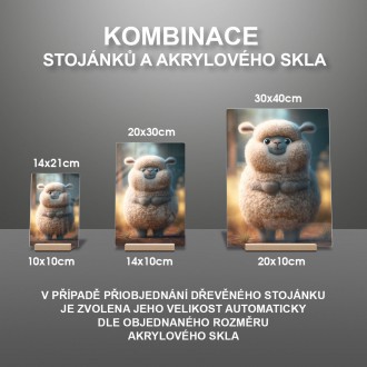 Akrylové sklo Roztomilá ovečka 1