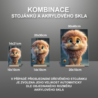 Akrylové sklo Roztomilý levíček
