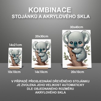 Akrylové sklo Malá koala