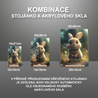 Akrylové sklo Animovaný zajačik