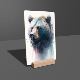 Akrylové sklo Graffiti medveď