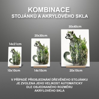 Akrylové sklo Prírodný lemur