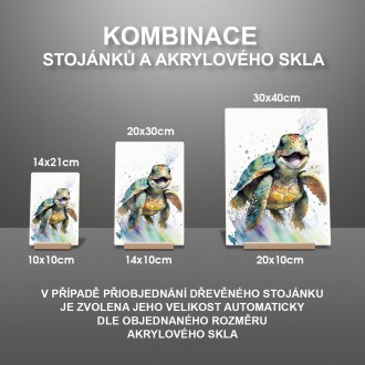 Akrylové sklo Akvarelová korytnačka