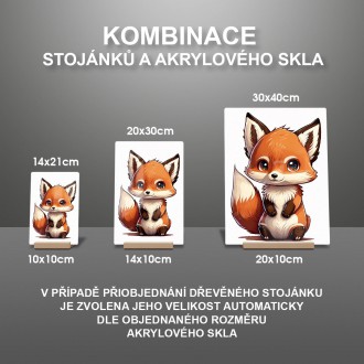 Akrylové sklo Malá líška