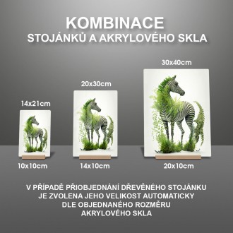 Akrylové sklo Prírodná zebra