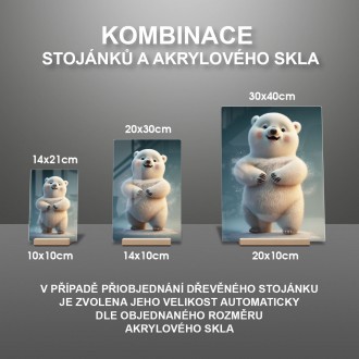 Akrylové sklo Roztomilý ľadový medveď