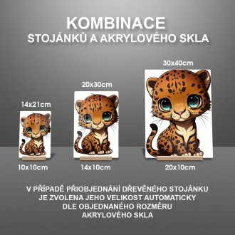 Akrylové sklo Malý leopard