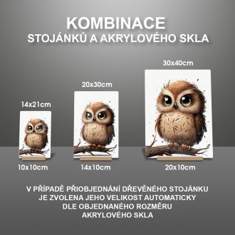 Akrylové sklo Malá sova