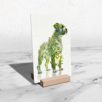 Akrylové sklo Prírodný pes