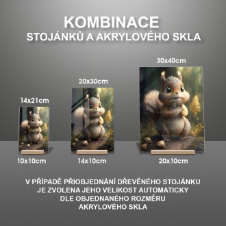 Akrylové sklo Animovaná veverička