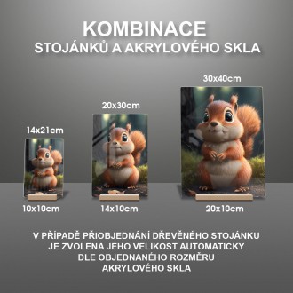 Akrylové sklo Roztomilá veverička